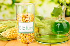 Brandy Carr biofuel availability
